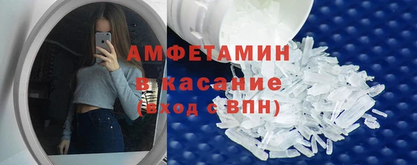 ГАЛЛЮЦИНОГЕННЫЕ ГРИБЫ Гусь-Хрустальный