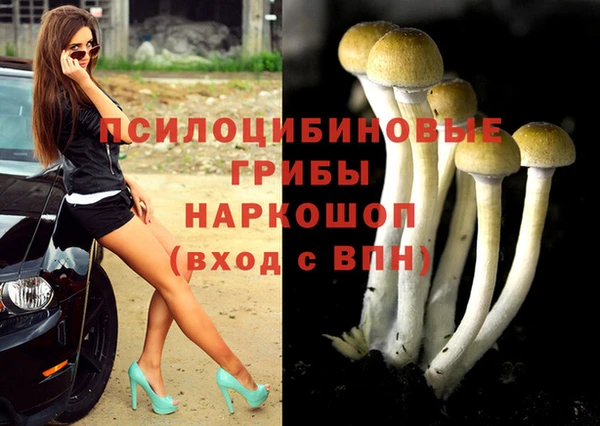 прущая мука Горно-Алтайск