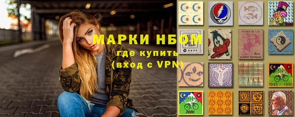 ГАЛЛЮЦИНОГЕННЫЕ ГРИБЫ Гусь-Хрустальный