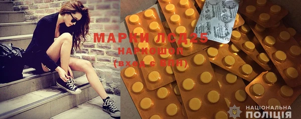 ПСИЛОЦИБИНОВЫЕ ГРИБЫ Горняк