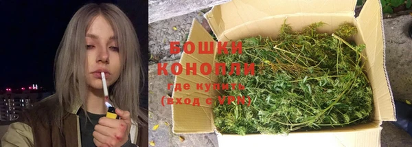ПСИЛОЦИБИНОВЫЕ ГРИБЫ Горняк