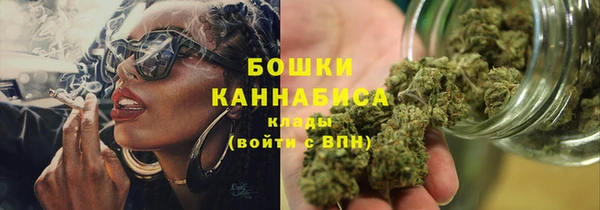 ПСИЛОЦИБИНОВЫЕ ГРИБЫ Горняк