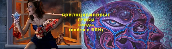 прущая мука Горно-Алтайск
