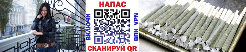 Купить где  Каменка  Канабис марихуана 